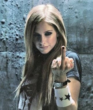 N310167-79bb4[1].jpg